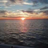 Kevin Larkin Photo 43