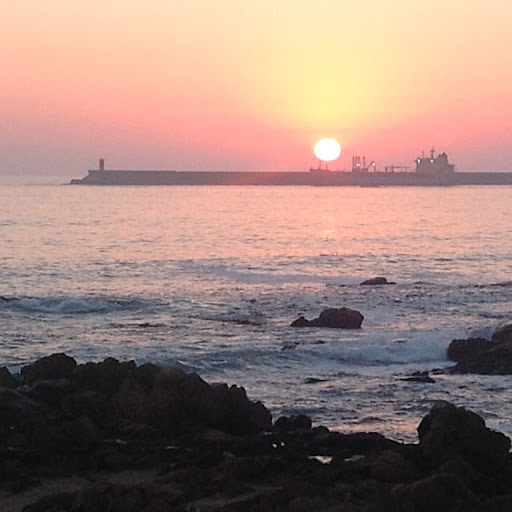 Edgar Silva Photo 3