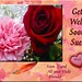Sue Card Photo 16