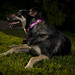 Laura Shepard Photo 15