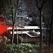 Diana Waters Photo 19