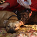 Colleen Bailey Photo 11