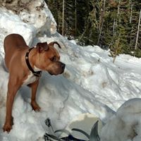 Kevin Hoppe Photo 34