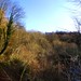 Paul Calderwood Photo 9