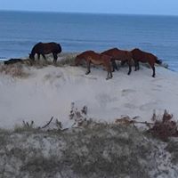Sandra Grimes Photo 27