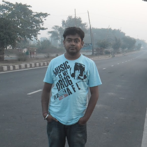 Partha Chandra Photo 4