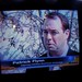 Patrick Flynn Photo 32