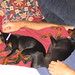 Lola Cooper Photo 38