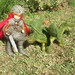 Rebecca Varon Photo 3