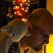 Mike Lamb Photo 17