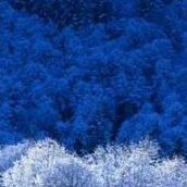 Vickie Palmer Photo 8