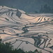 Dawn Rice Photo 22