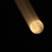 Debbie Moon Photo 20