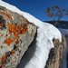 Brian Fabel Photo 3