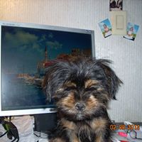 Michael Landis Photo 9
