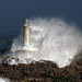 G Gonzalez Photo 4