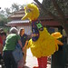Amy Woodard Photo 29