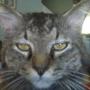 Terri Evans Photo 36