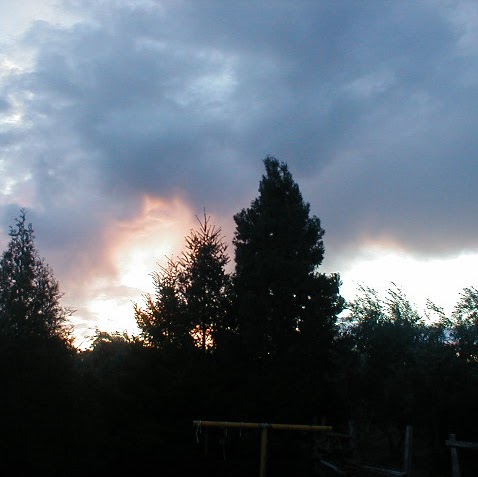 Linda Hayes Photo 8