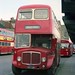 Douglas Decker Photo 10