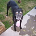 Julia Grabowski Photo 9
