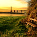Dawn Cross Photo 23