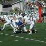 Michael Kruger Photo 6