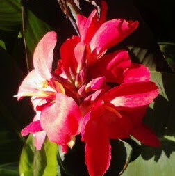 Colleen Ransdell Photo 4