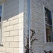 Michael Defalco Photo 36