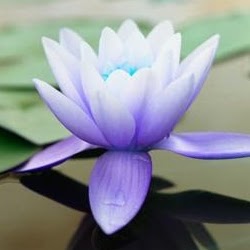 Barbara Gill Photo 28