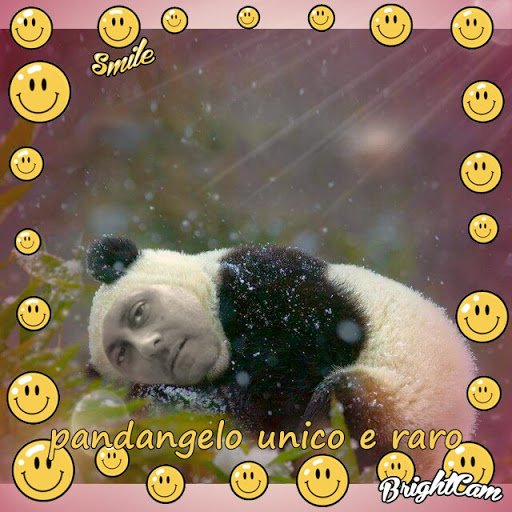 Angelo Barone Photo 10