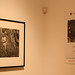 Zheng Liu Photo 37