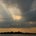 Diane Funk Photo 14