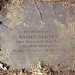 James Neff Photo 18