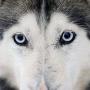Sharon Franks Photo 29