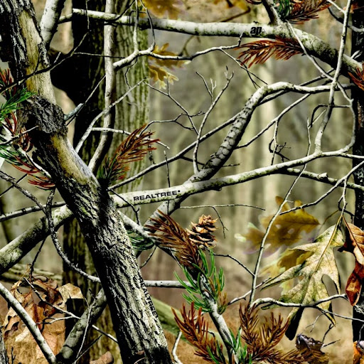 Paul Lovelace Photo 9