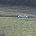 Jason Durrant Photo 7