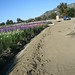 Paula Briggs Photo 10
