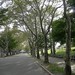 Mary Mott Photo 6