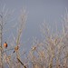 Robin House Photo 15