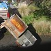 Tracey Schultz Photo 5