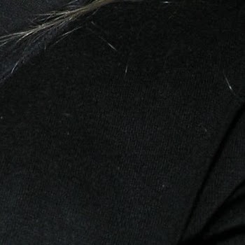 Laura Lawrence Photo 32