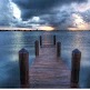 Richard Friedman Photo 40