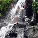John Jowers Photo 22