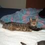 Carol Moser Photo 17