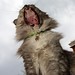Daisy Heard Photo 4