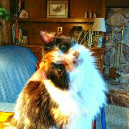 Debbie Calvert Photo 17