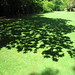 Ian Hamilton Photo 48