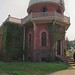 Doyle Brown Photo 22
