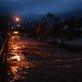 Alice Flood Photo 8
